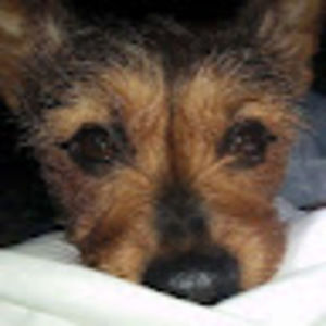 Meet your Posher, Marie